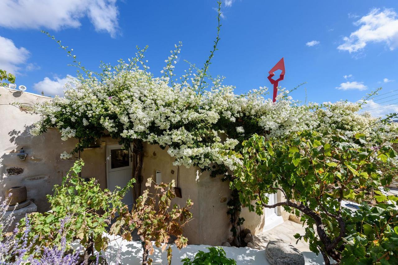 The Olive Mill Guest House Lefkes  Extérieur photo
