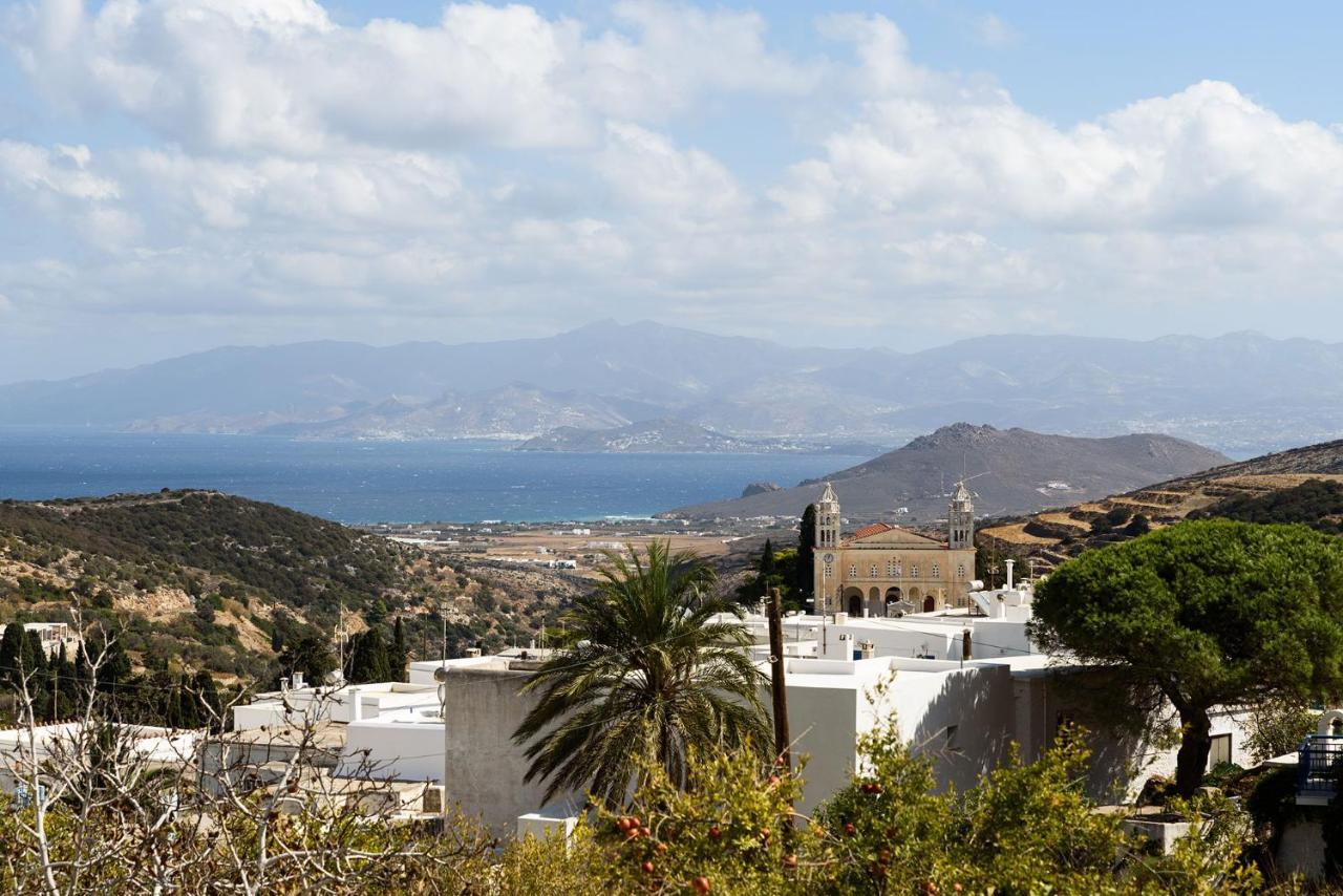 The Olive Mill Guest House Lefkes  Extérieur photo