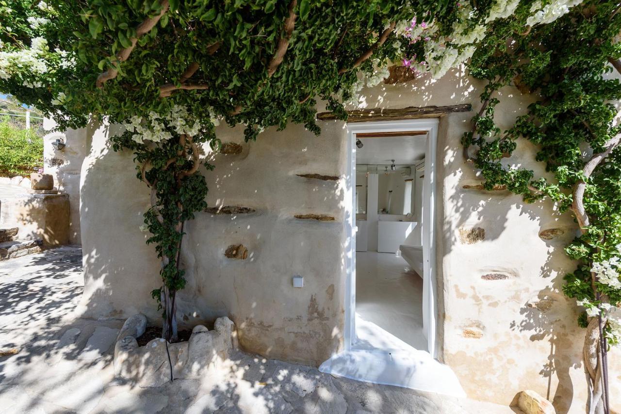 The Olive Mill Guest House Lefkes  Extérieur photo