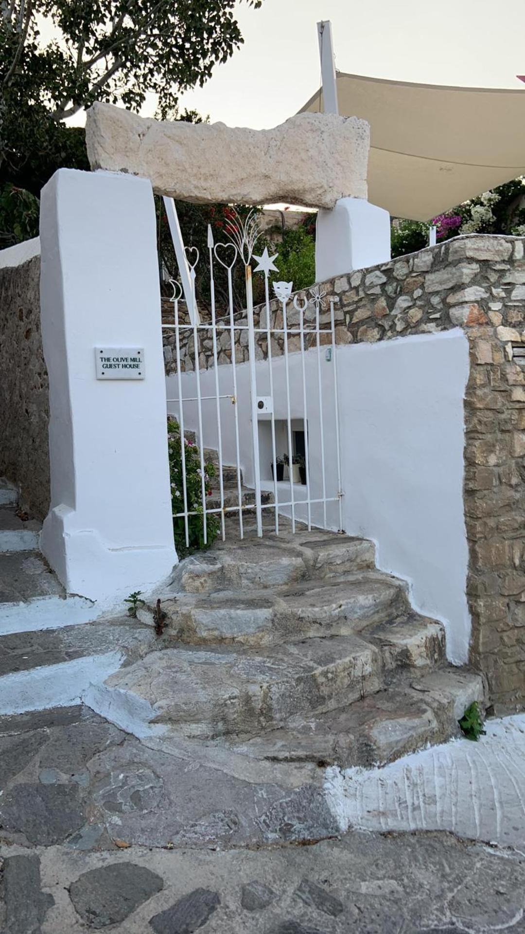 The Olive Mill Guest House Lefkes  Extérieur photo
